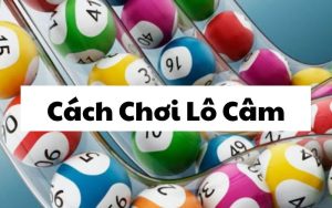 Cách Chơi Lô Câm Đơn Giản Mà Hiệu Quả Dành Cho Lô Thủ