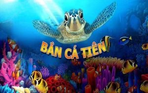 Mẹo Bắn Cá Tiên Bách Phát Bách Trúng Của Các Game Thủ